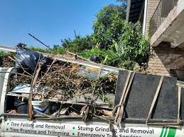 Best Same-Day Junk Removal Services  in San Manuel, AZ