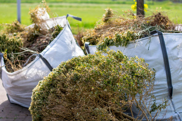 Best Carpet Removal and Disposal  in San Manuel, AZ